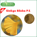 Flavonas naturales 24% extracto de hoja de Ginkgo Biloba